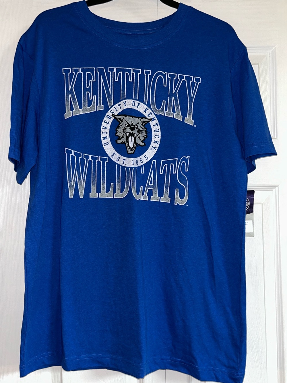 UK University of Kentucky Wildcats blue tee size Large unisex L